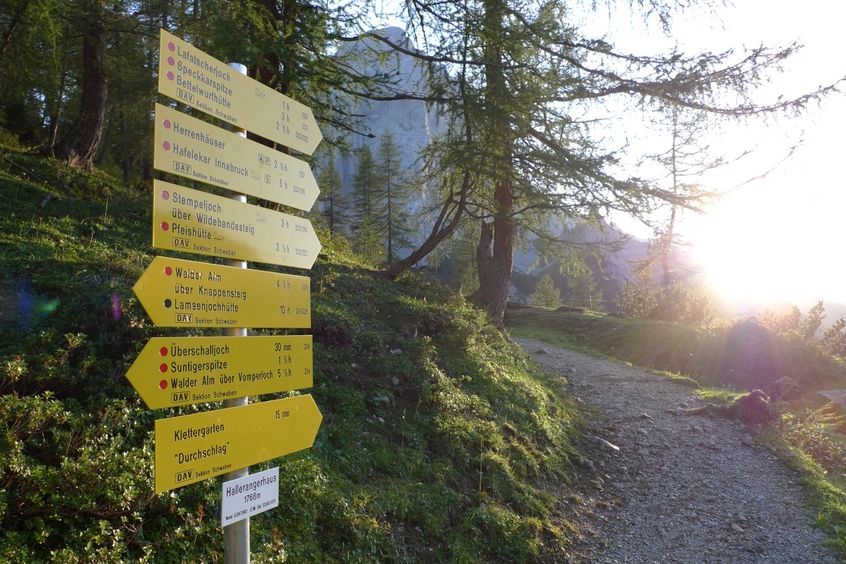 Mehrere gelbe Wegweiser an einem Wanderweg.