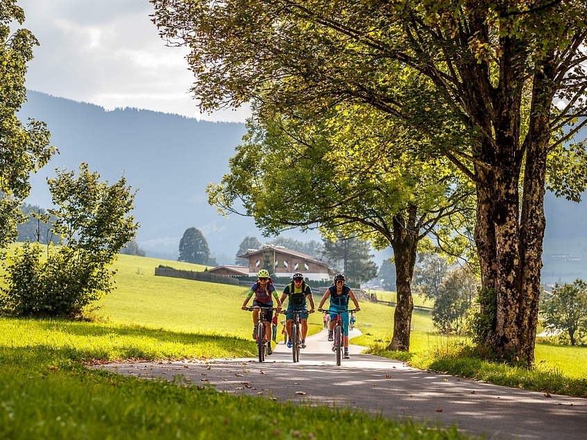 RadfahrerInnen auf Radweg